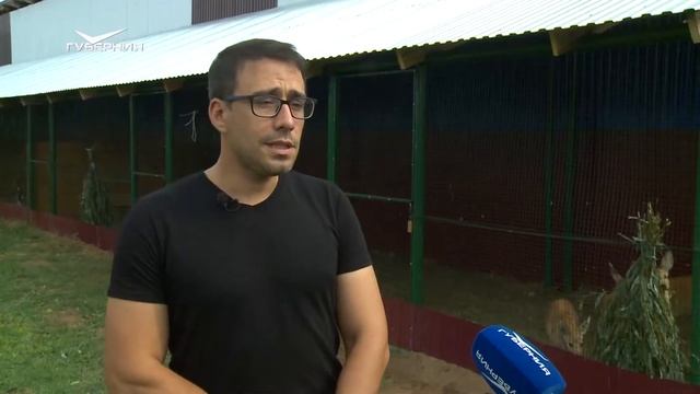 В Кинельском районе спасли трех детенышей косули смотреть онлайн