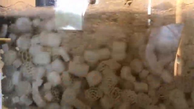 Pond Filter Media K1 K3 K5 Biofilm Filter Carrier Bio Ball Media Moving Bed Biofilm Reactor Mbbr Bi смотреть онлайн