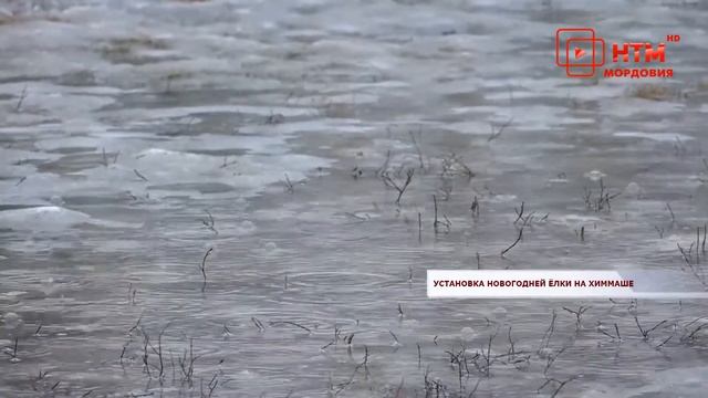 Новогодняя ёлка на Химмаше в Саранске смотреть онлайн