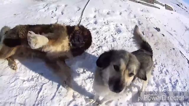 Нинооба в Монастыре Святой Нино 2018 Пока Грузия озеро Паравани ч.2. смотреть онлайн