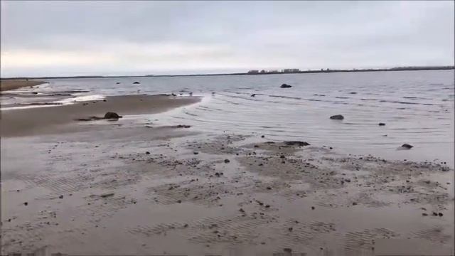 ВОДОПАД ИЗ КАМНЕЙ СВОИМИ РУКАМИ смотреть онлайн
