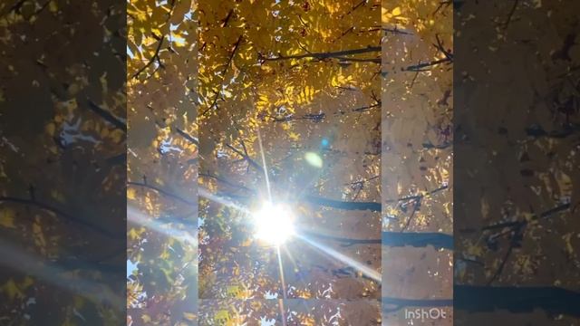 Уж небо осенью дышало …? смотреть онлайн