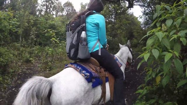 Эфирные Мелодии