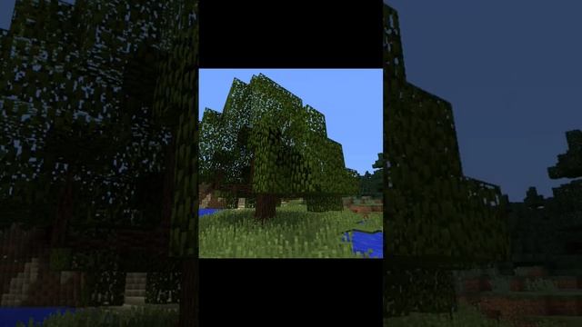обзор-мода"мод на новые деревья",Часть:#2 #shorts #minecraft смотреть онлайн