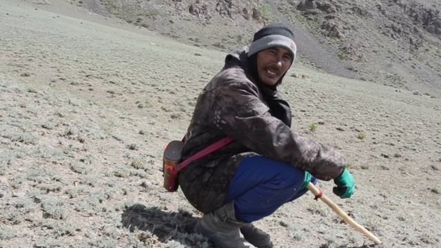 ПАМИРЛИК МЕЙМАН /ЧОН-АЛАЙ/ Сулайман Жанботоев смотреть онлайн