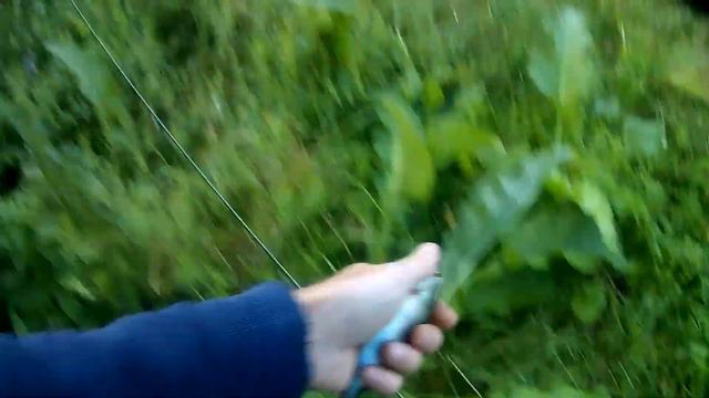Сбор грибов против рыбалки. Где улов лучше? Часть 2. Рыба смотреть онлайн