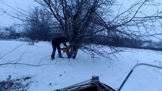 КУПИЛИ ДОМ В ДЕРЕВНЕ. СБОР ДРОВ ДЛЯ ДОМА И БАНИ. ЗАГОТОВКА ДРОВ смотреть онлайн