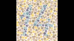 Полихроматические таблицы Рабкина для проверки  цветоощущения на дальтонизм с ответами для водителе