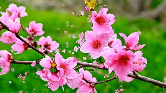 нежный и крепкий СОН, глубокий релакс и успокоение нервной системы смотреть онлайн