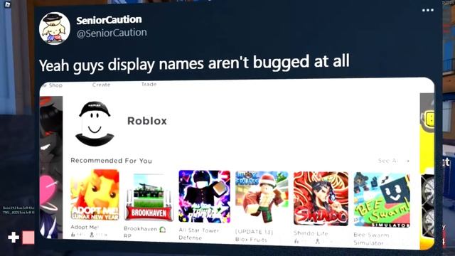 Roblox Display Names is a MISTAKE... смотреть онлайн