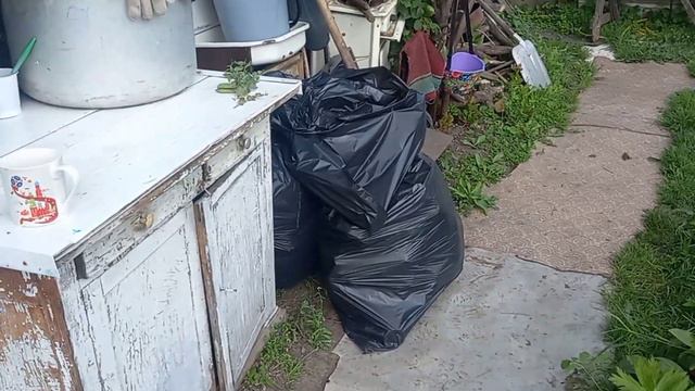 Кто то жрёт морковь/Нашла папоротник/Пересадили цветы/Закуска из кабачков. смотреть онлайн