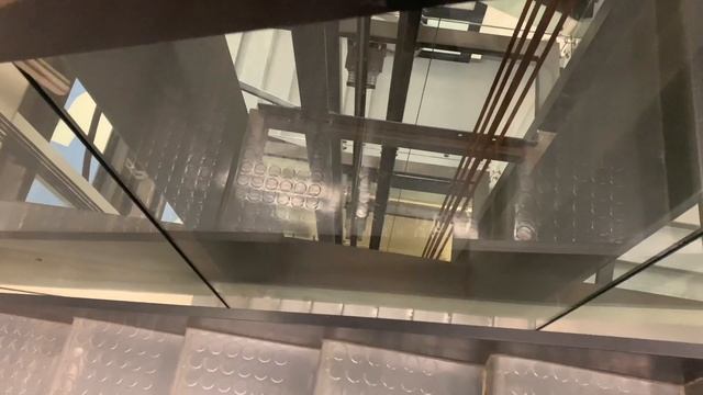 Эрарта/Erarta Музей современного искусства | Сходи Посмотри на арт-пространство Санкт-Петербург