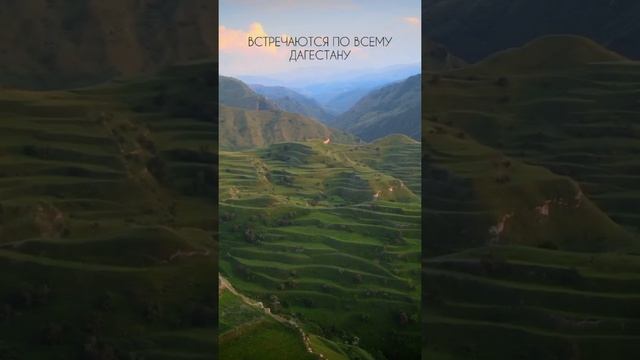 10 САМЫХ КРАСИВЫХ МЕСТ ДАГЕСТАНА #Shorts #Дагестан #Dagestan #Кавказ смотреть онлайн
