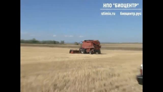 2012 Препараты STIMIX@ в Челябинской области смотреть онлайн
