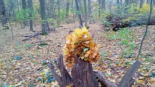 ГОСТ 2044 20231031