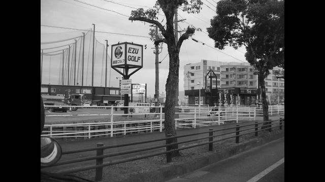 New photos taken with an old compact digital camera Panasonic　LUMIX DMC-LZ2 смотреть онлайн