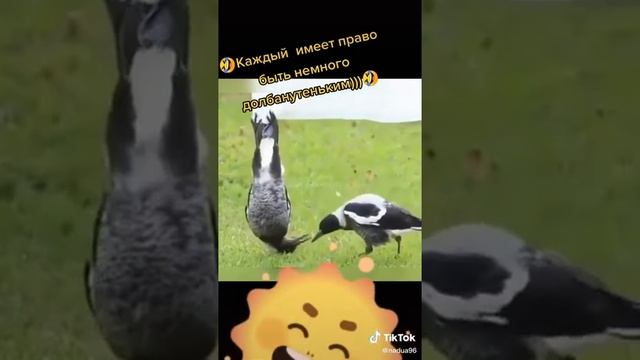 Каждый имеет право быть немного долбанутеньким))) смотреть онлайн