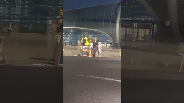 Аэропорт Домодедово рыжая сука!!! смотреть онлайн