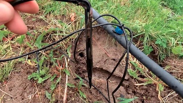 Капельный полив. Как максимально упростить полив смотреть онлайн