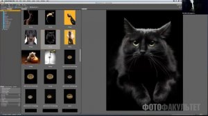 Лекция лучшего рекламного фотографа России Игоря Сахарова