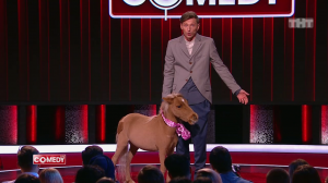 Павел Воля - О собаках, котах и животных