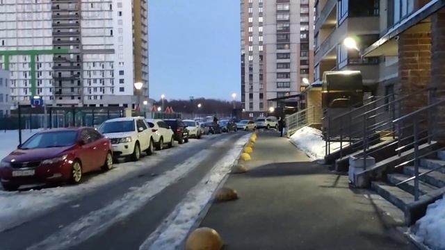 ЧТО МОЖНО НАЙТИ НА 20 ПИТЕРСКИХ ПОМОЙКАХ. НАШЛИ ТЕЛЕВИЗОР:ПАРУ САМОКАТОВ И ЭЛЕКТРОННИКУ. смотреть онлайн