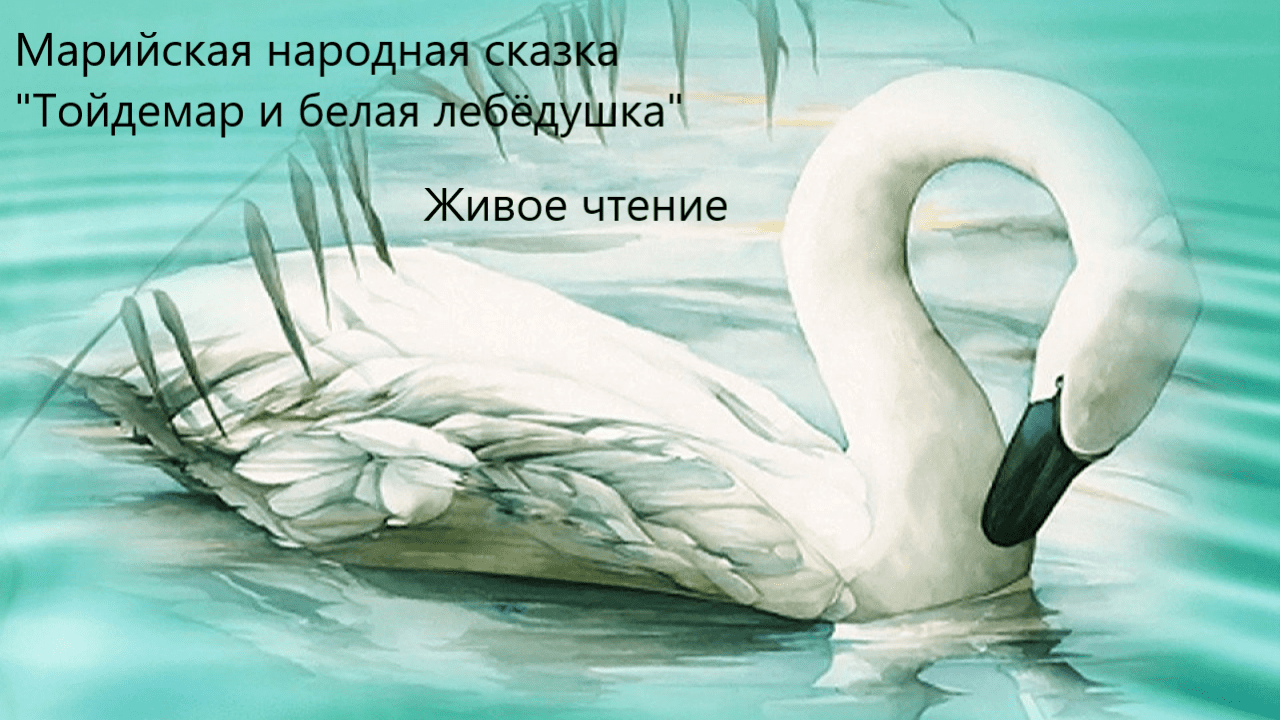 Марийская народная сказка "Тойдемар и белая лебёдушка". Живое чтение смотреть онлайн