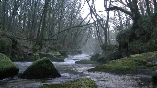 Ghost caught on camera in daylight on a Scottish river. смотреть онлайн