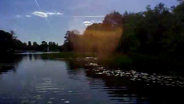 Прикол!!! Водоросли смотреть онлайн