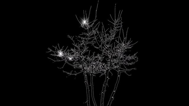 ВИДЕОМАСКА *НОВОГОДНИЙ КУСТИК* смотреть онлайн