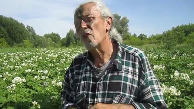 картошка,аист,виноград .сериал "Киевляне в глухомани" смотреть онлайн