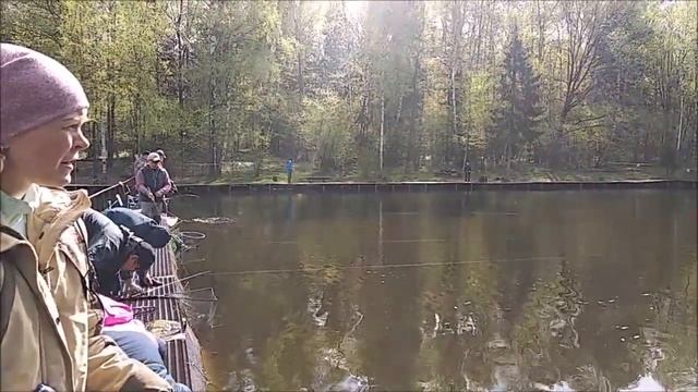 Форель клюёт по всей акватории. Рыбалка на спорт-зоне. Клёвое место Лосиный остров. смотреть онлайн