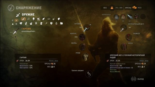 Ведьмак 2 Прохождение с Grey # 28 смотреть онлайн