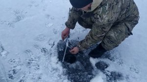 Самоподсекающая жерлица автомат "Филончик"