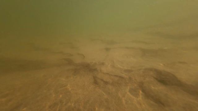 Чулым под водой август 20232K Cinematic Short смотреть онлайн