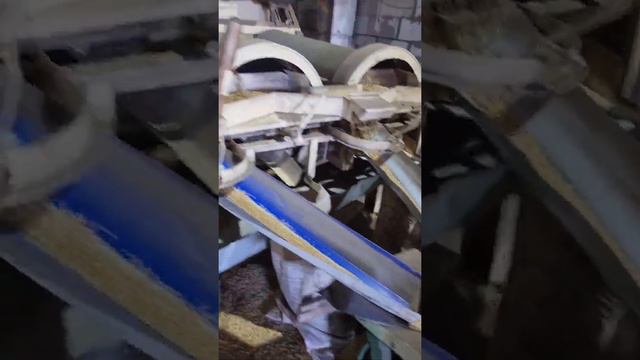 Сортировка зерна Петкус (Petkus) K 531 Гигант в биг бэги. смотреть онлайн