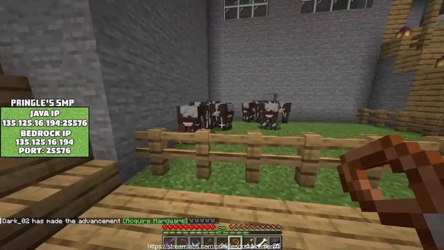 MINECRAFT PRINGLES SMP - TRAIN TRACK BUILDING part 2 - BEDROCK AND JAVA SUPPORT смотреть онлайн