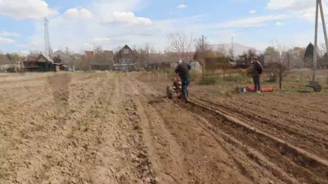 посадка картошки под мотоблок 2020г смотреть онлайн