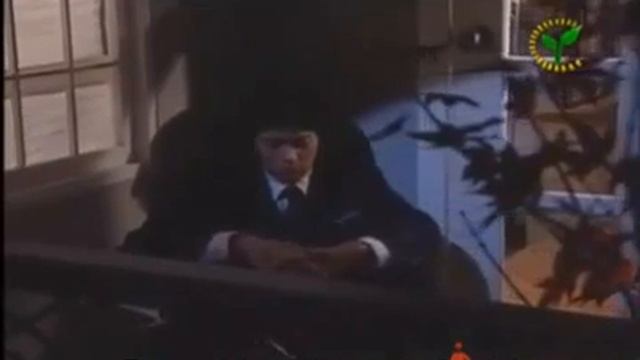Samoviy ishq 27 qism ❤ (mini) смотреть онлайн