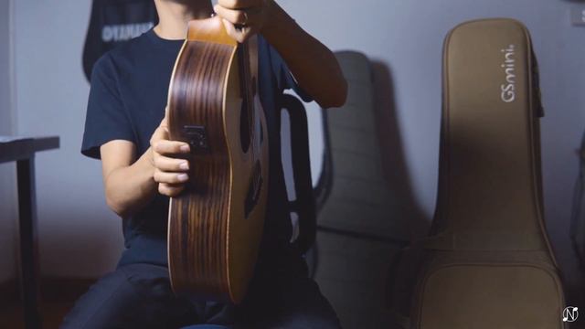 Cây đàn Mini hay nhất? / Trên tay Taylor GS mini E Rosewood 2022 смотреть онлайн