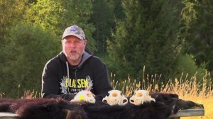 Охота на медведей в Скандинавии и Канаде. Охотничьи приключения в Норвегии (Охотник и рыболов)