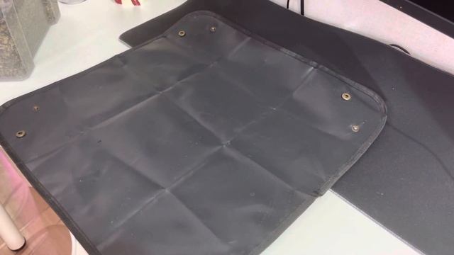 Почему Сциндапсус Крутит Листья ??