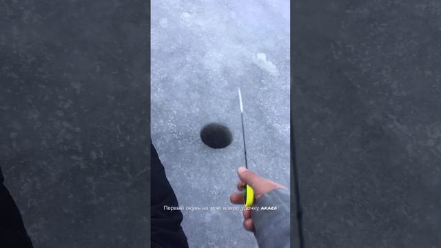 Зимняя рыбалка на финском заливе. смотреть онлайн