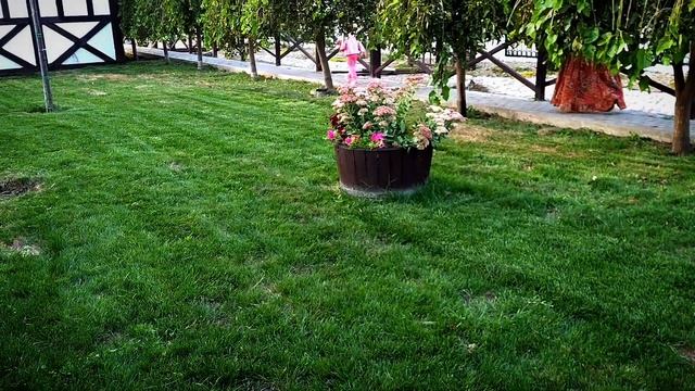 КРАСНОДАРСКИЙ КРАЙ, АБРАУ -ДЮРСО.2022г. смотреть онлайн