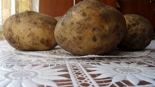 Самые лучшие сорта картофеля. Смотрите видео до конца, подборка лучших сортов картофеля. смотреть онлайн