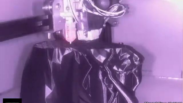 Doberman Head 3D Print смотреть онлайн