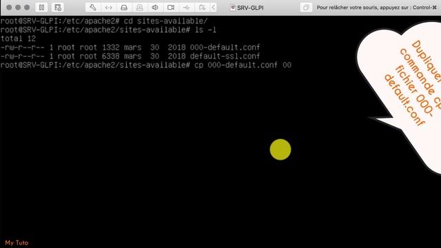 SISR1-1-01 Déployer un gestionnaire de ticket GLPI (Debian) смотреть онлайн