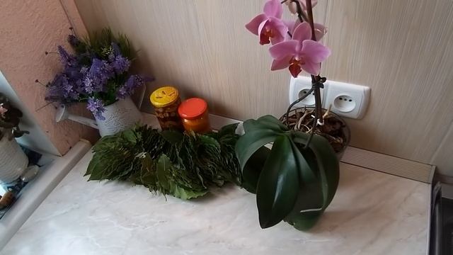 ПОДАРКИ С ЮГА ДЛЯ РОДНЫХ И БЛИЗКИХ. ЧТО ПРИВЕЗЛИ ИЗ АДЛЕРА ДЛЯ СЕБЯ. смотреть онлайн