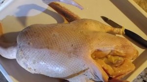 ДОХОД ОТ РАЗВЕДЕНИЯ ГУСЕЙ. ВЫГОДНЫЙ  БИЗНЕС