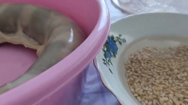 Рецепт домашнего супа